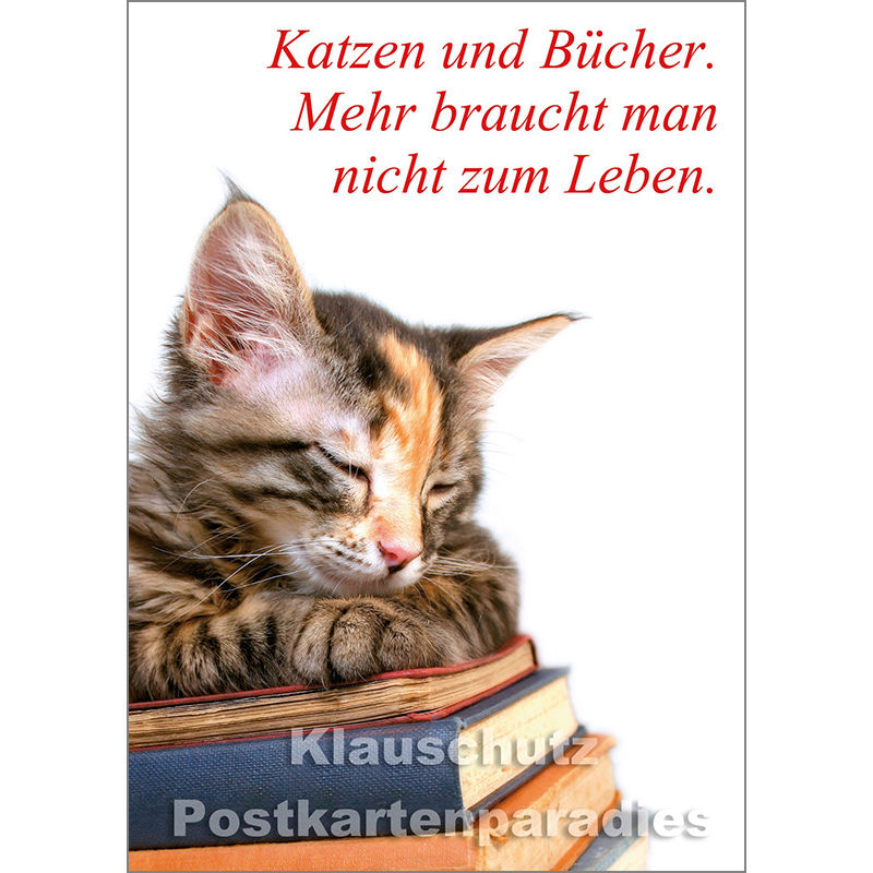 Tier Postkarte