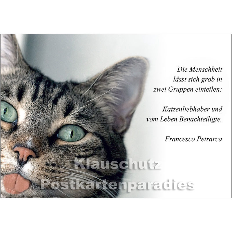 Tier Postkarte
