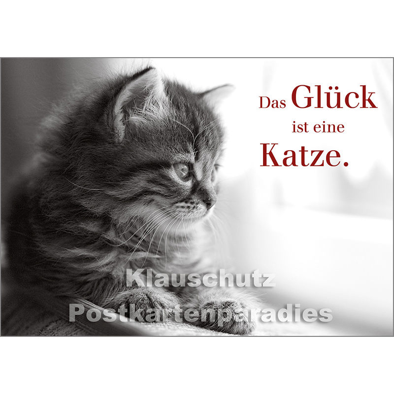 Tier Postkarte