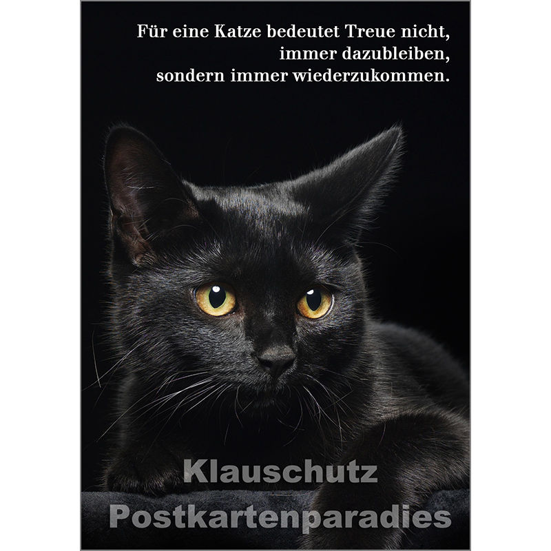 Tier Postkarte