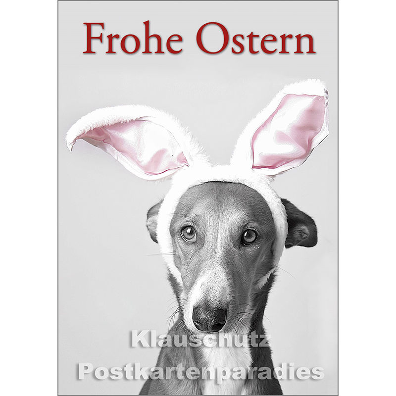 Tier Postkarte