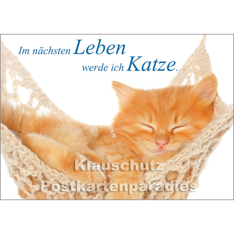 Tier Postkarte