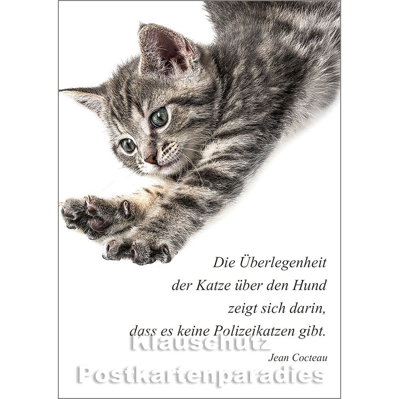 Tier Postkarte
