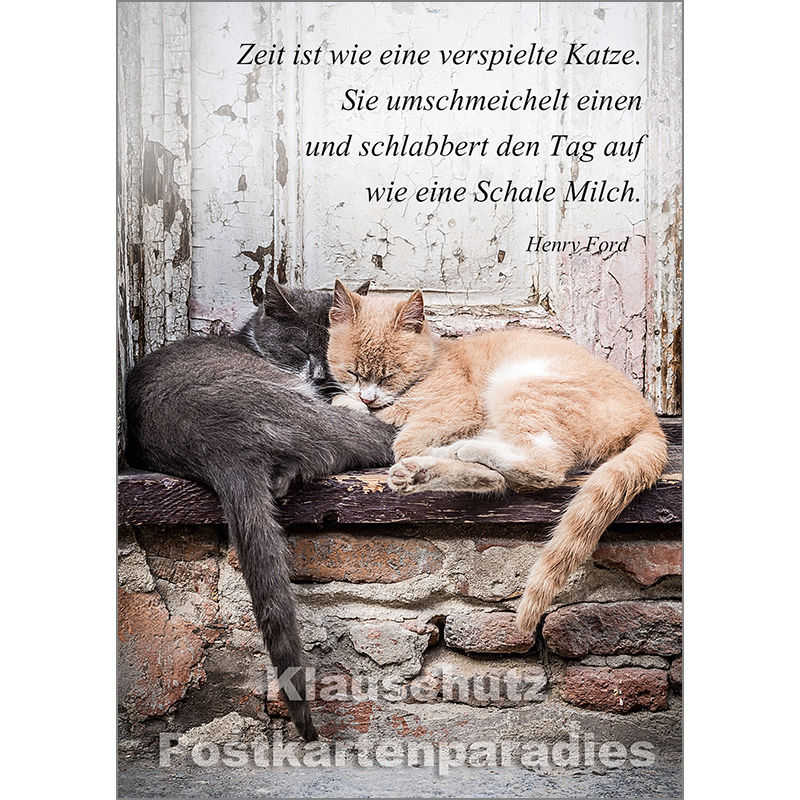 Tier Postkarte