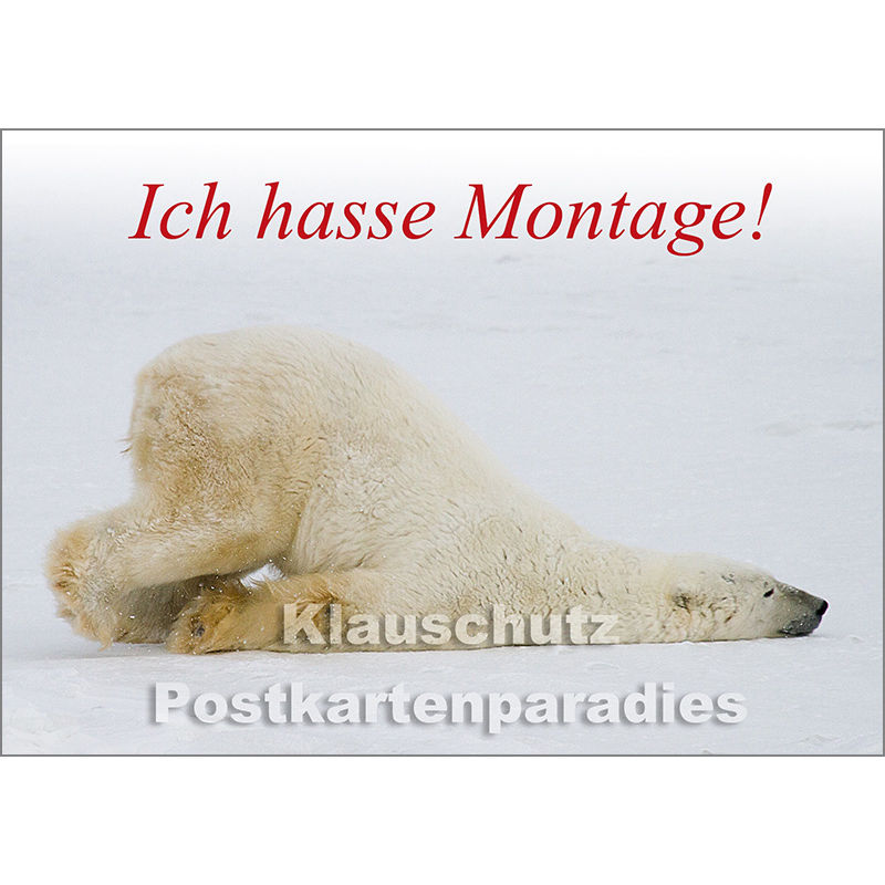 Tier Postkarte