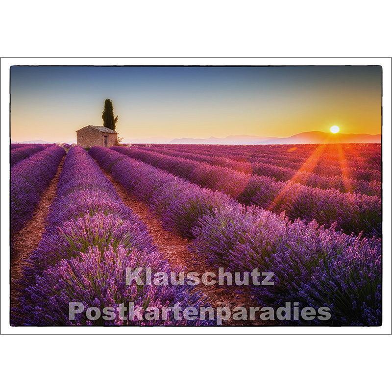 Foto Postkarte
