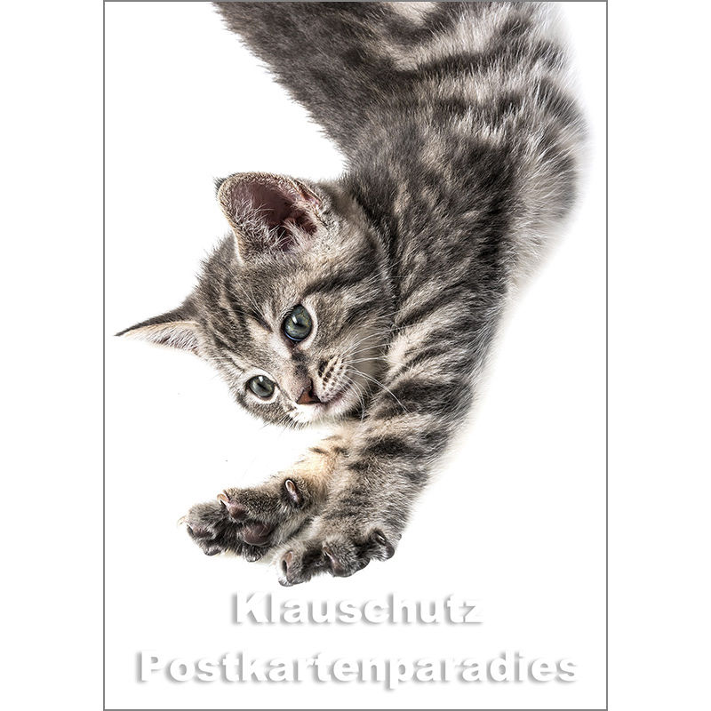 Foto Postkarte
