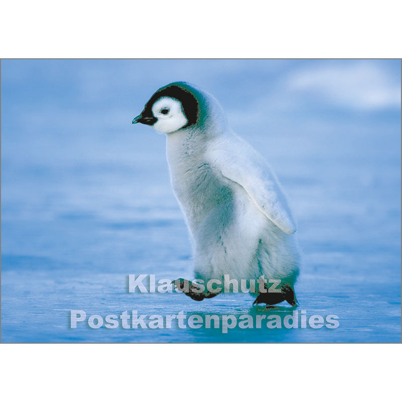 Foto Postkarte
