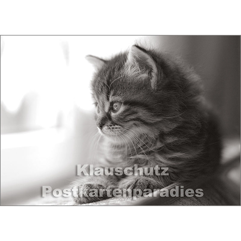 Foto Postkarte