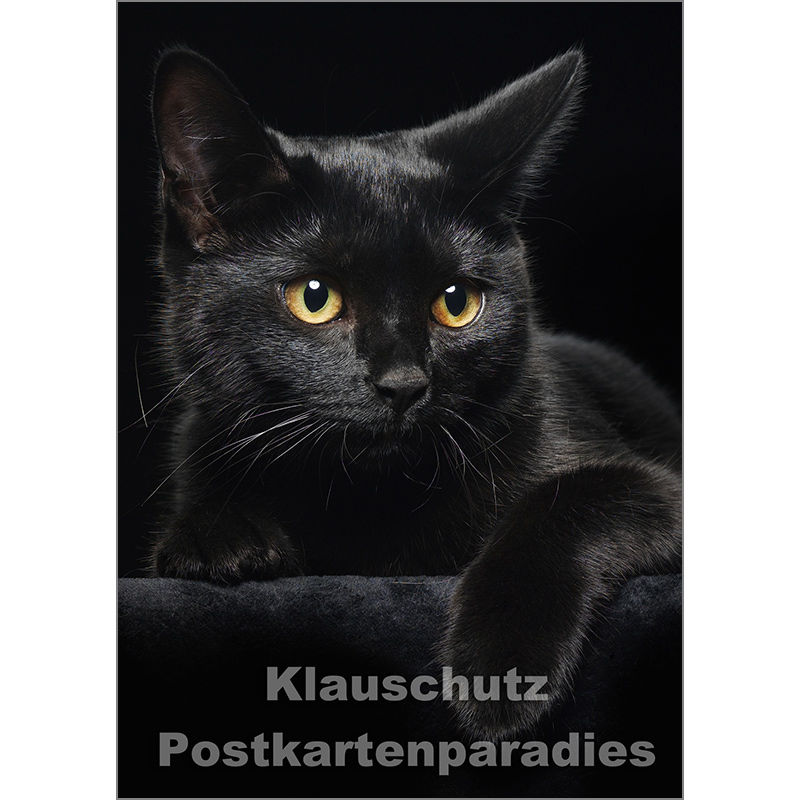 Foto Postkarte